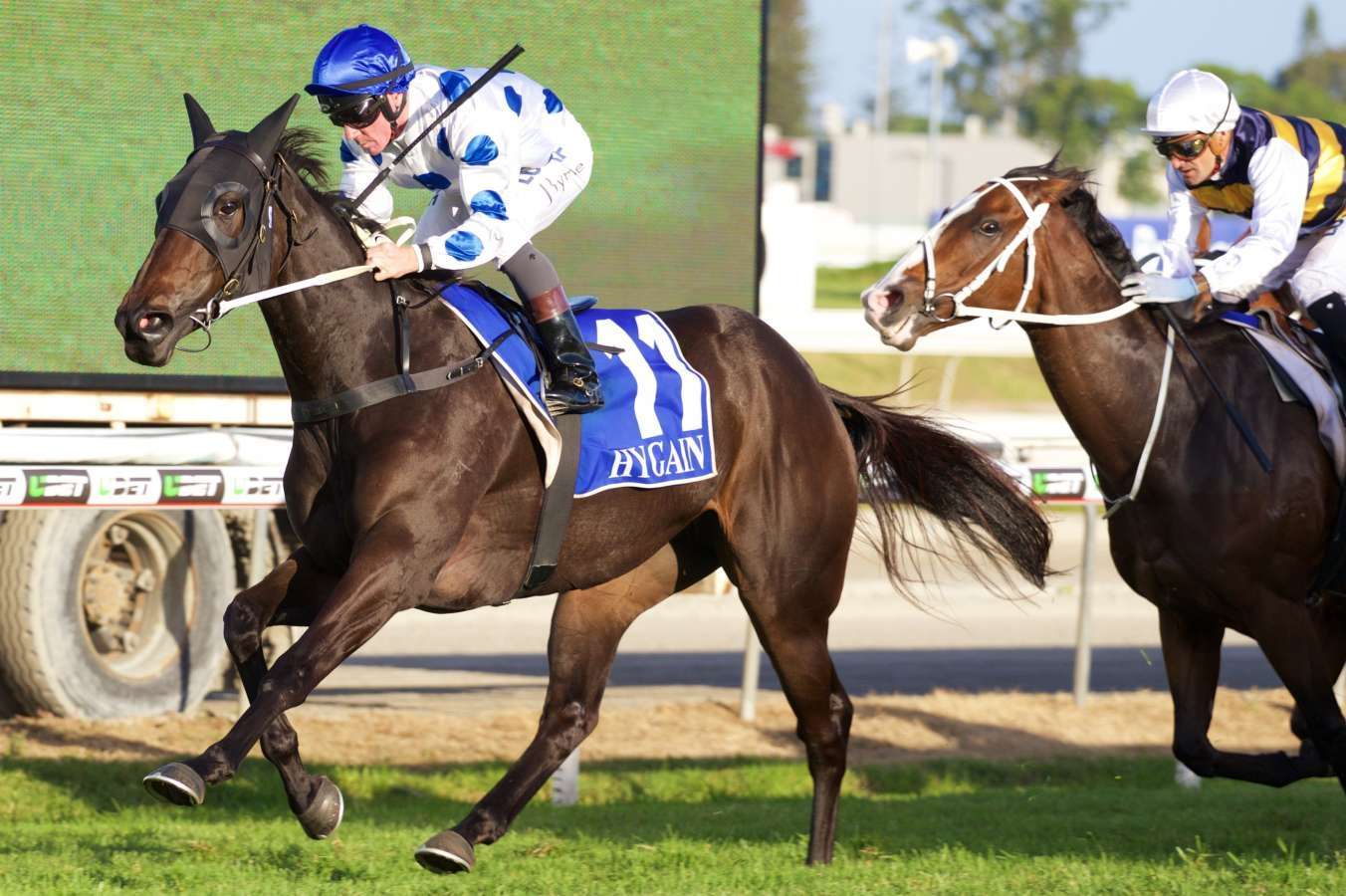 oregons day is a leading hope in the doomben cup