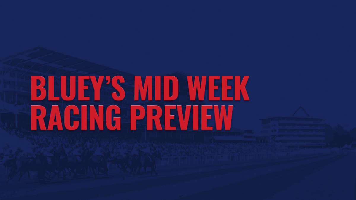 1200x675 BLUEY high 2