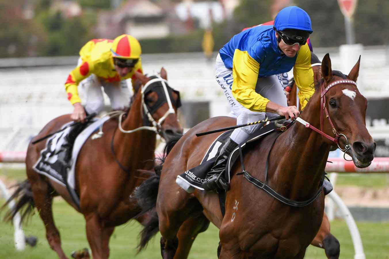 Black Heart Bart was a popular winner at Caulfield