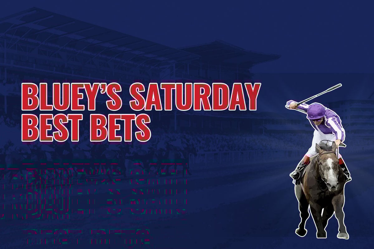 bluey1200x800 BLOG Saturday