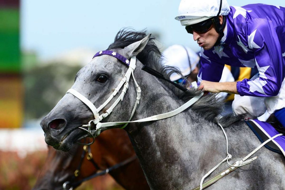 dargento e1539232721401