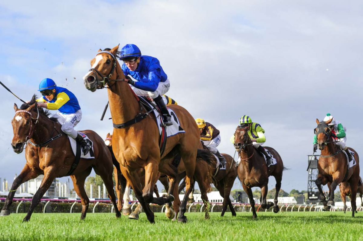 hartnell e1539235140890