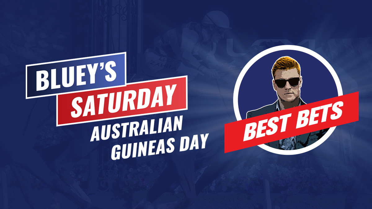 BB 1200x675 Bluey Badge AustGuineas