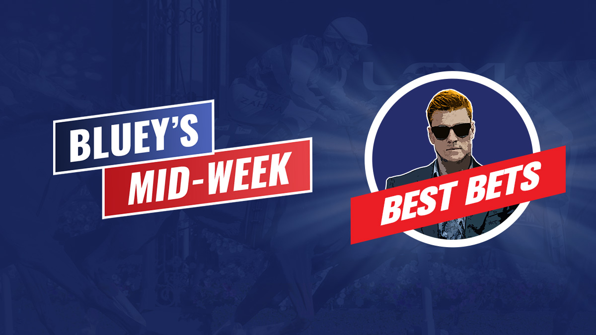 BB 1200x675 Bluey Badge midweek