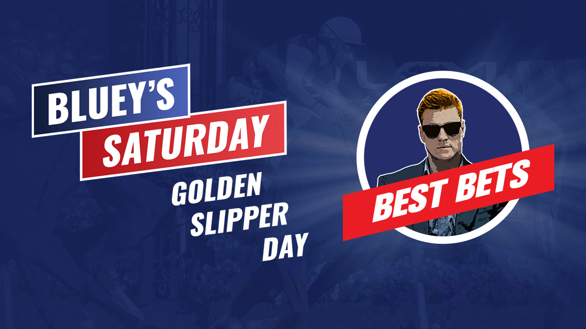 BB 1200x675 Bluey Badge Slipper 1