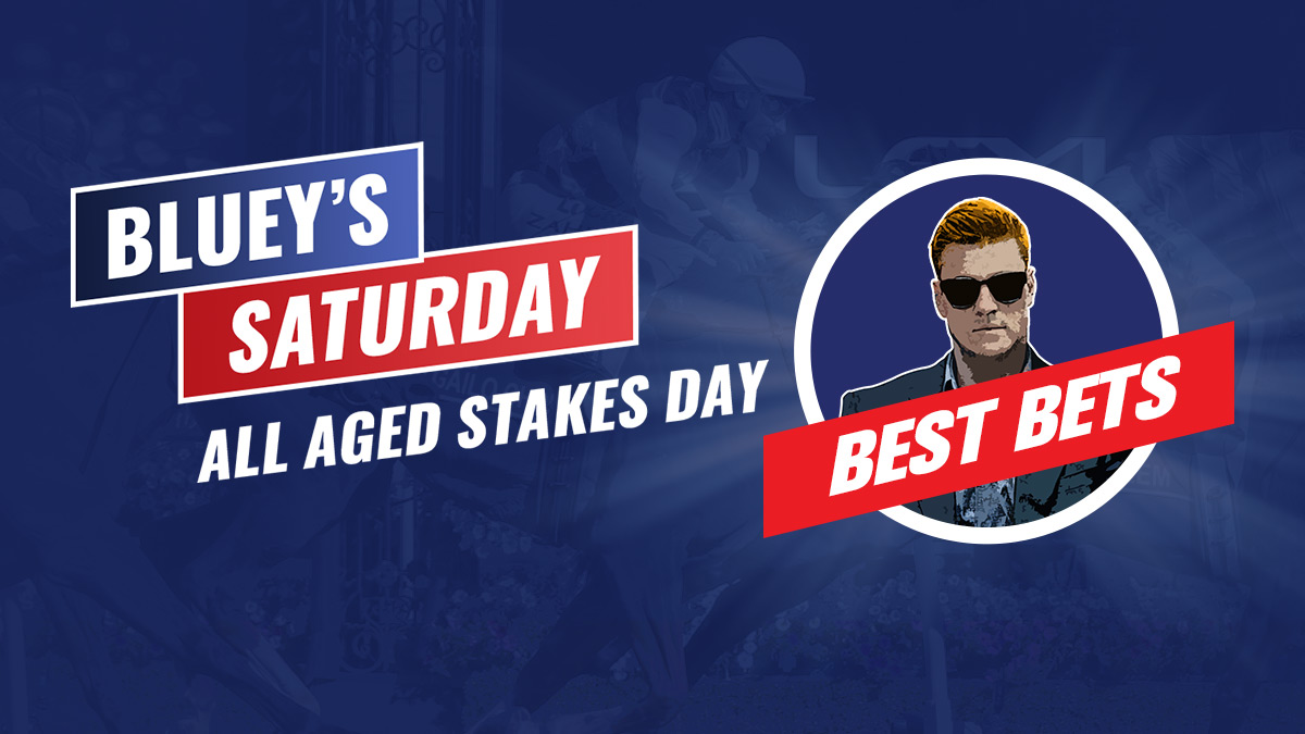 BB 1200x675 Bluey Badge AllAged