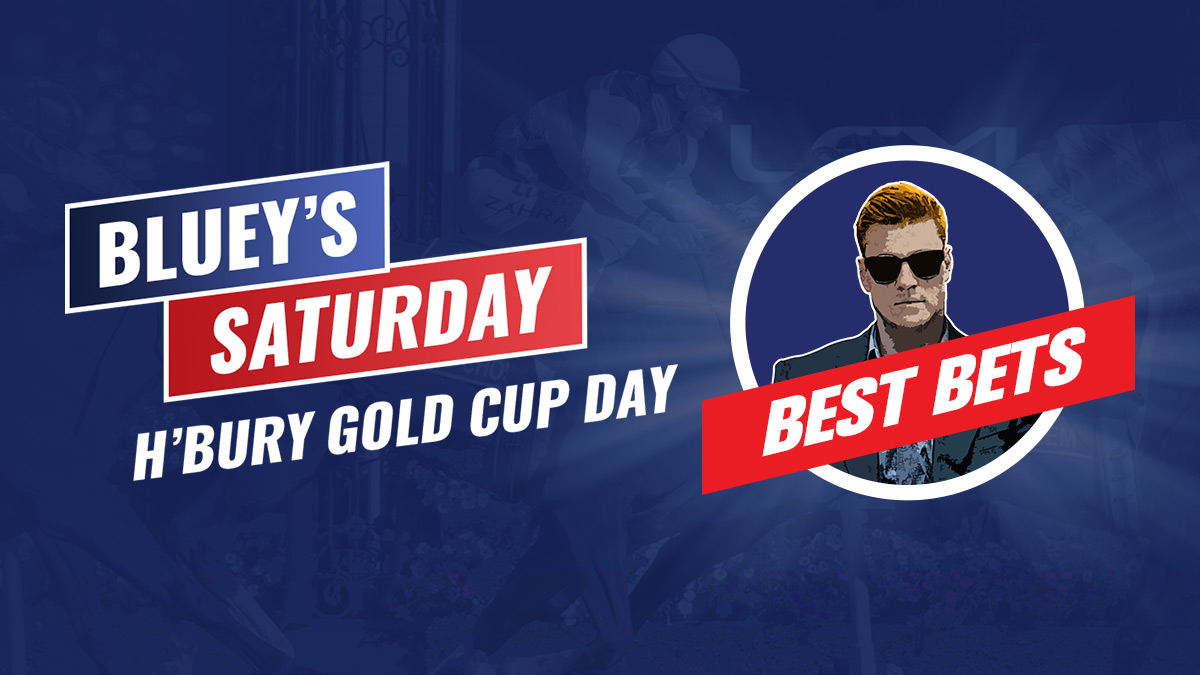 BB 1200x675 Bluey Badge HburyCup