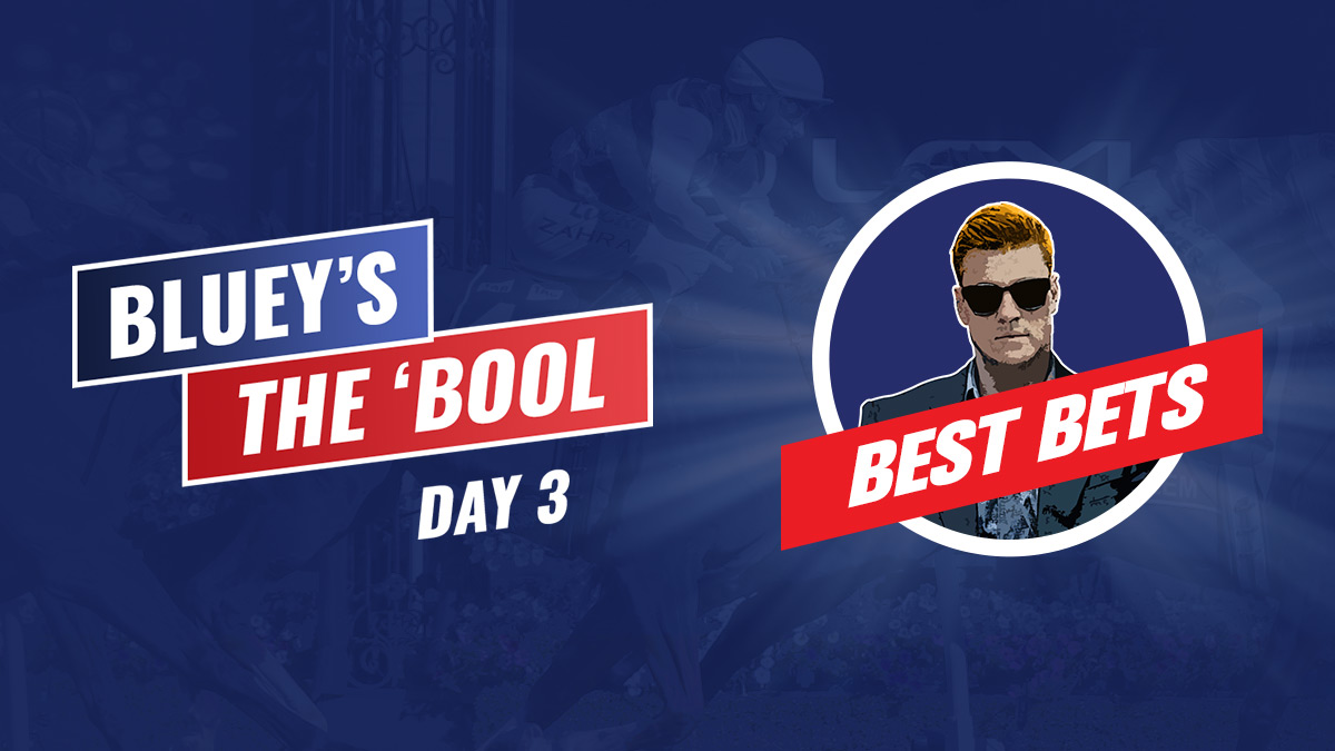 BB 1200x675 Bluey Badge TheBool