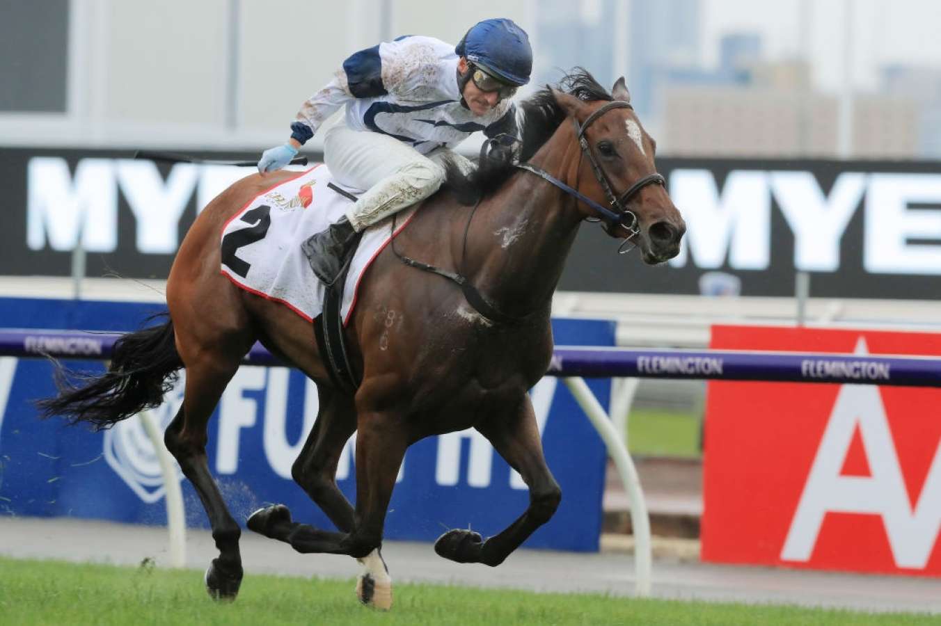 miami bound 1352x900 1