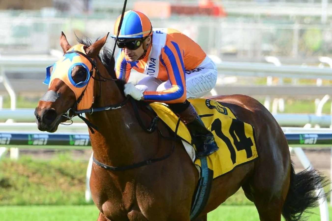 melody belle is headed for flemington