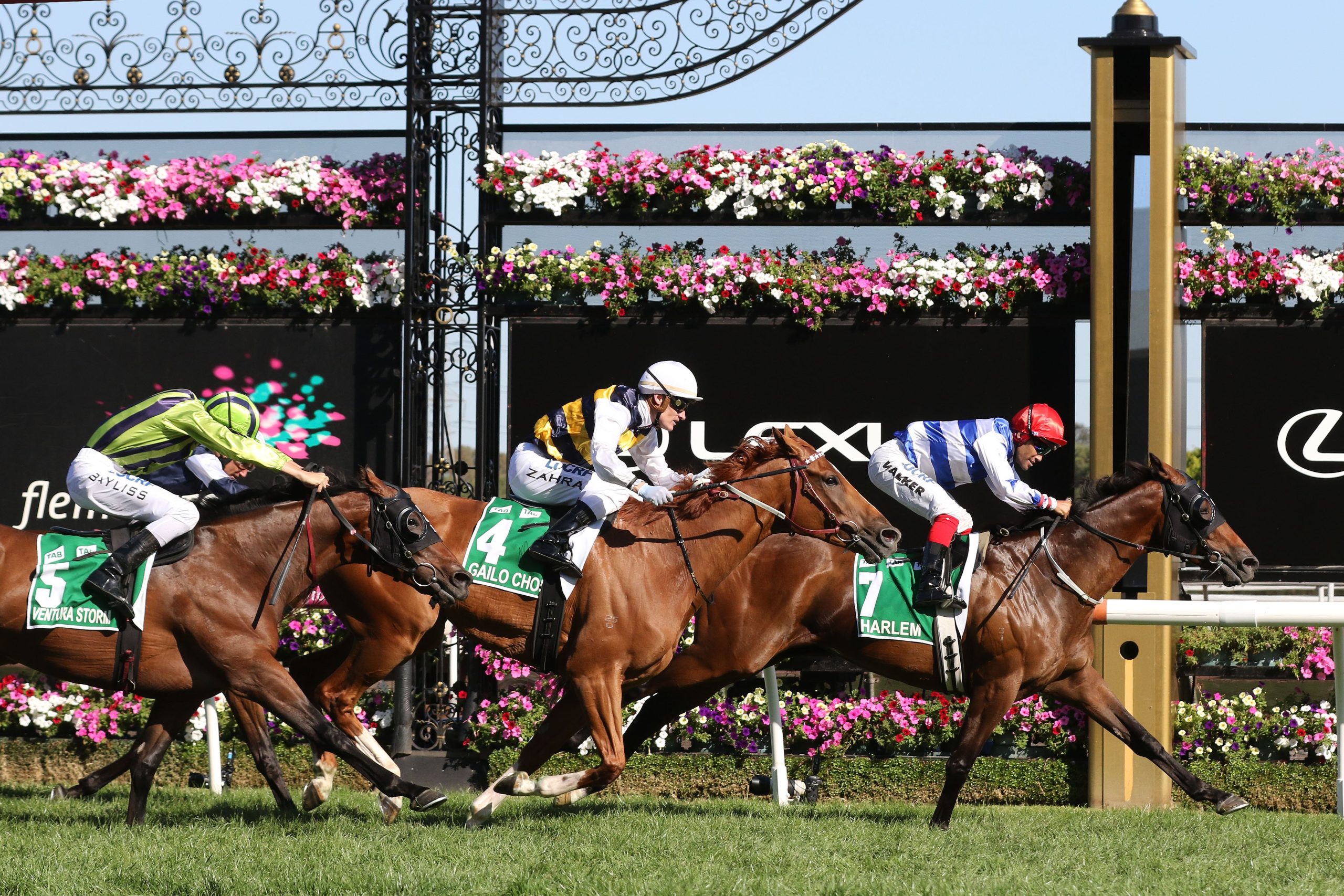 HarlemAustralian Cup scaled