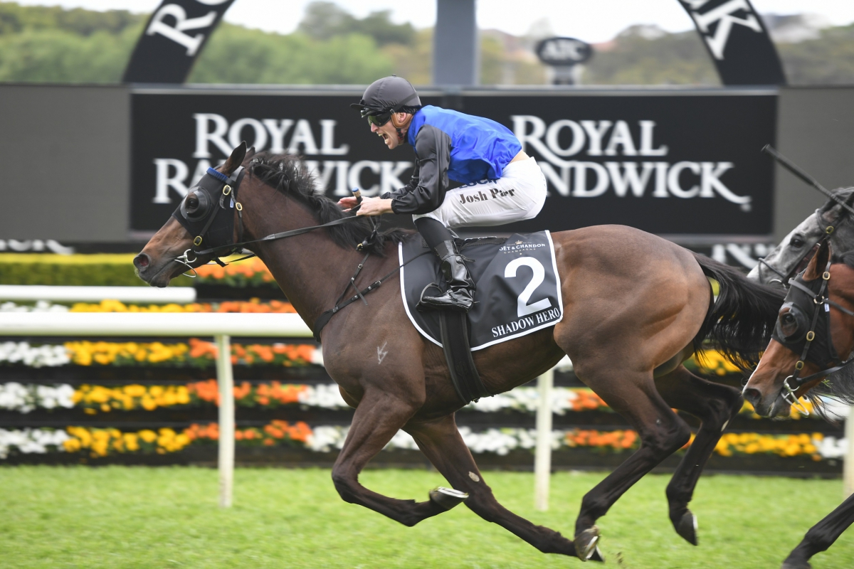 Shadow Hero 1 e1584664260535