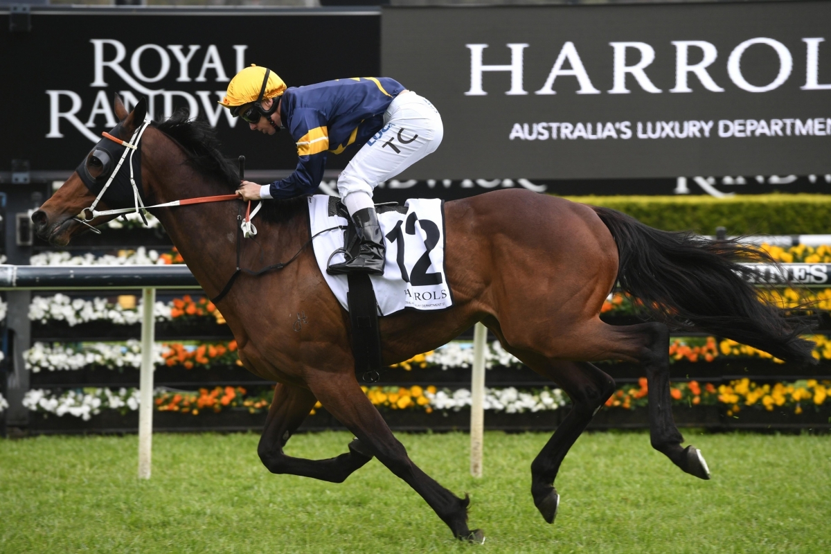 master of wine scaled e1586414408821