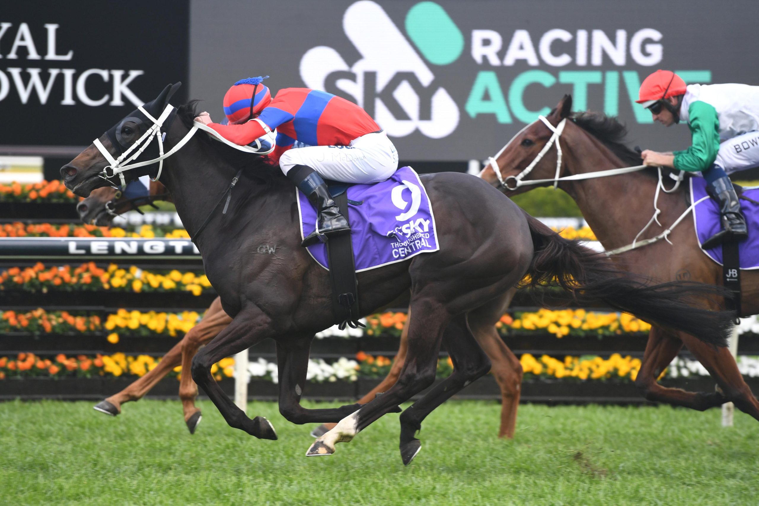 verry elleegant jpg scaled