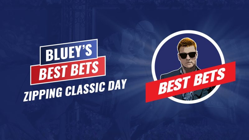 BB 1200x675 Bluey Badge Zipping