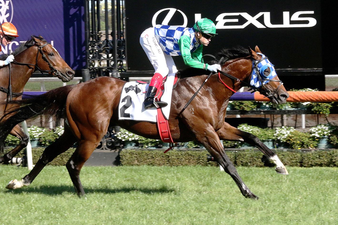 fifty stars unlikely for all star mile